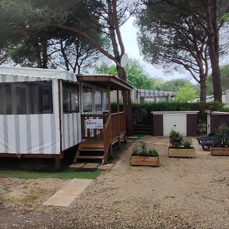 Au Bonheur Des Landes Hotel Gastes Exterior photo